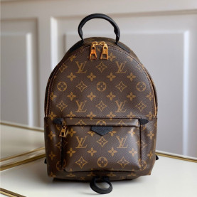 LOUIS VUITTON 루이비통 팜스프링 백팩 M44871
