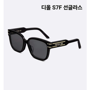 DIOR 디올 선글라스 (30몽테인 S7F)