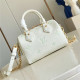 LOUIS VUITTON 루이비통 스피디 반둘리에 20 M46397 2COLOR